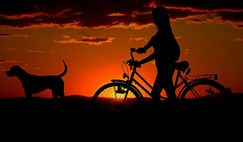 fatbike
