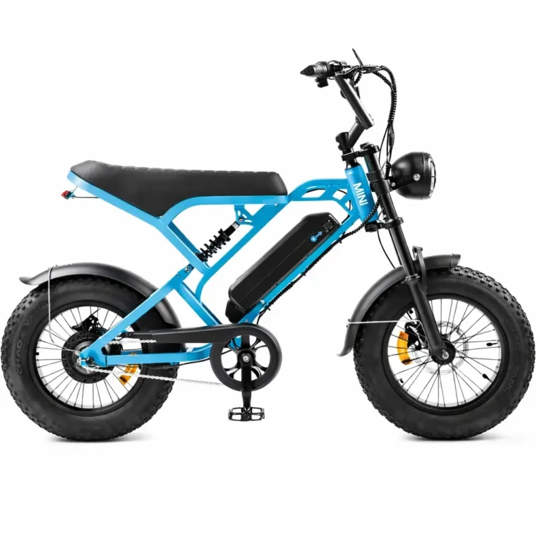 V20 PRO mini blauw