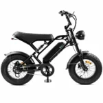 Fatbikes